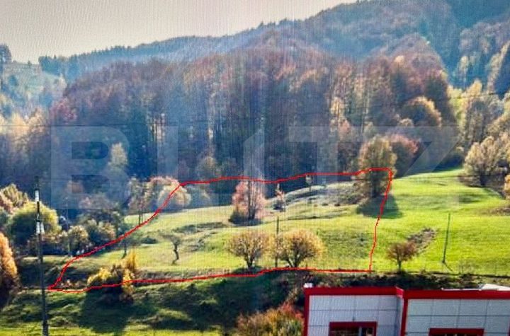 Teren de vanzare SUCEAVA - Suceava anunturi imobiliare Suceava