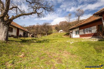 Casă - 5 camere de vanzare EXTERIOR EST - Brasov anunturi imobiliare Brasov