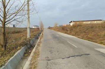 Teren de vanzare PIELESTI - Dolj anunturi imobiliare Dolj