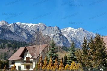 Teren de vânzare în Bușteni (zona Piatra Arsă) anunturi imobiliare Prahova