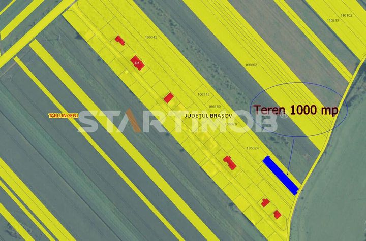 Teren Intravilan Tarlugeni anunturi imobiliare Brasov