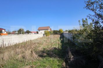 Teren de vanzare ROMANESTI - Dolj anunturi imobiliare Dolj