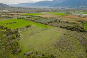 Teren agricol 2725 mp în Moustheni, Kavala anunturi imobiliare Grecia