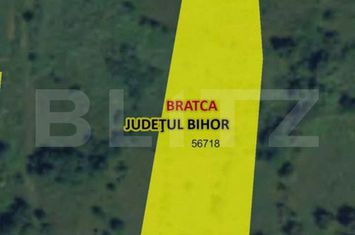 Teren de vanzare BEZNEA - Bihor anunturi imobiliare Bihor