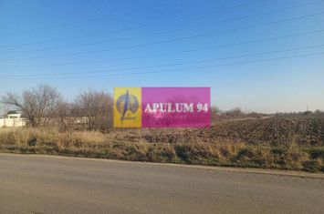 Săbăreni, teren intravilan 8800 mp, pe DJ 602, pretabil hale, depozite anunturi imobiliare Giurgiu