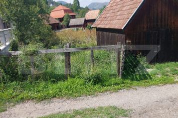 Teren de vanzare OCOLIS - Alba anunturi imobiliare Alba