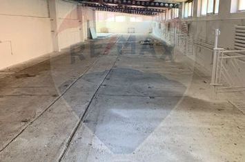 Spațiu industrial de inchiriat in Cristian, Sibiu anunturi imobiliare Sibiu