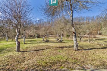 Cabană deosebită cu 4 camere în Căsoaia anunturi imobiliare Arad