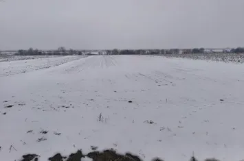 Teren de vanzare HORODNIC DE JOS - Suceava anunturi imobiliare Suceava