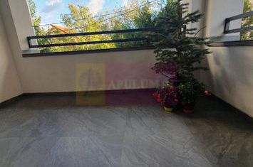 Vila P+1+M ~200mp zona Metrou Brancoveanu și Parc Tineretului anunturi imobiliare Bucuresti