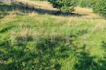Teren de vanzare SUCEAVA - Suceava anunturi imobiliare Suceava