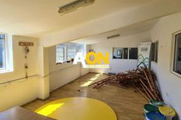 Hala Industriala 1077 mp anunturi imobiliare Alba