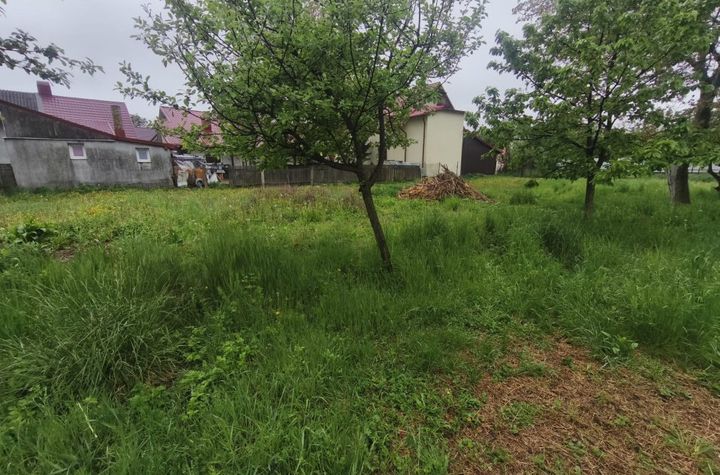 Casă - 4 camere de vanzare RADAUTI - Suceava anunturi imobiliare Suceava