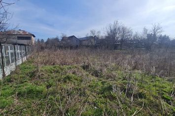 Theodor Pallady - Ikea anunturi imobiliare Bucuresti