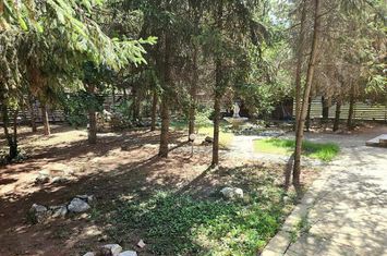 Baneasa Teisani vila 7 camere teren 1000 mp anunturi imobiliare Bucuresti