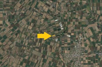 Teren agricol 9035 mp în Chrysochori (pachet) anunturi imobiliare Grecia