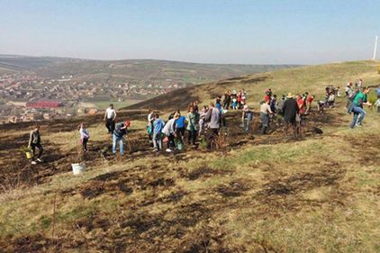 Voluntarii reîmpăduresc Transilvania. Românii își salvează singuri pădurile, când autoritățile nu își fac treaba