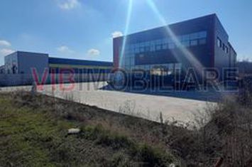 Hala cu birouri de vânzare în Buftea anunturi imobiliare Bucuresti