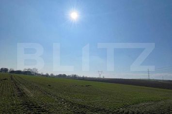 Teren de vanzare FALTICENI - Suceava anunturi imobiliare Suceava