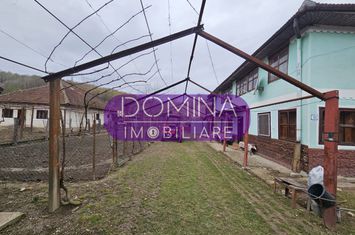 Vilă - 4 camere de vanzare CIUPERCENI - Gorj anunturi imobiliare Gorj