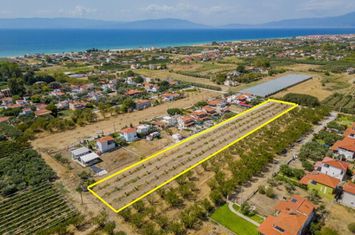 Teren 4972 mp, Paralia Orfaniou, 700 m de mare anunturi imobiliare Grecia