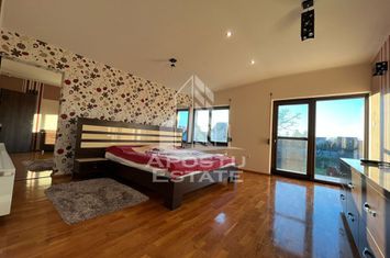 Casa individuala cu 6 camere,3 bai,  garaj, teren 1362 mp anunturi imobiliare Timis
