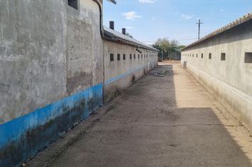 Spațiu industrial de vanzare CALARASI - Calarasi anunturi imobiliare Calarasi