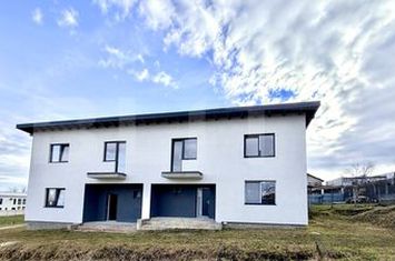 Vilă - 4 camere de vanzare CETATE - Alba anunturi imobiliare Alba