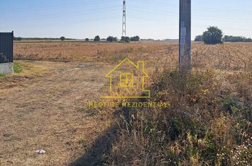Berceni- Zanelor- teren 550 mp- Intravilan- D= 25ml- Utilitati- 45.450E anunturi imobiliare Bucuresti