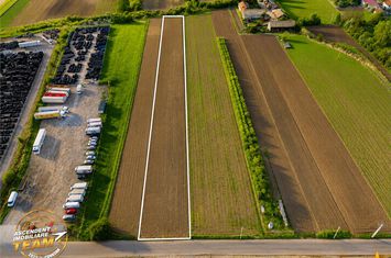 Teren Intravilan de vanzare NORD-EST - Covasna anunturi imobiliare Covasna