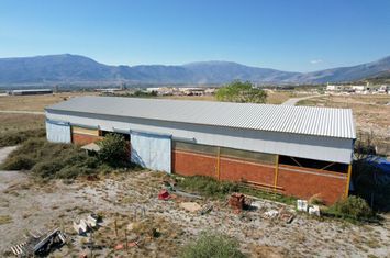 Hala industrială 611 mp în VI.PA. Prosotsanis anunturi imobiliare Grecia