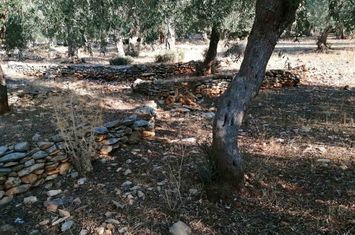 Teren agricol 4.138 mp în Skala Kallirachis (Vodnik) anunturi imobiliare Grecia