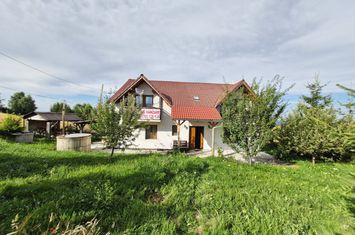 Vilă - 7 camere de vanzare PALTINIS - Sibiu anunturi imobiliare Sibiu