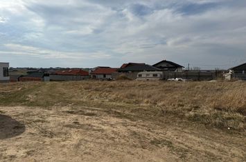 Teren Cihei 519 mp anunturi imobiliare Bihor