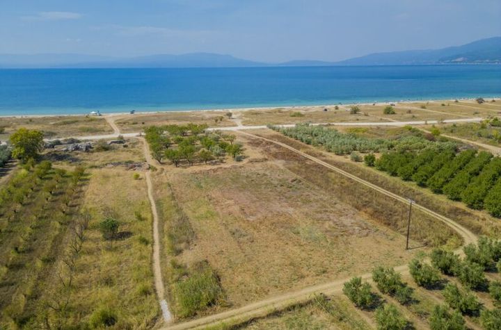 Teren 3115 mp la 80 metri de plajă, Paralia Ofriniou anunturi imobiliare Grecia