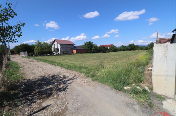 Teren Intravilan de vanzare SUD-VEST - Vrancea anunturi imobiliare Vrancea