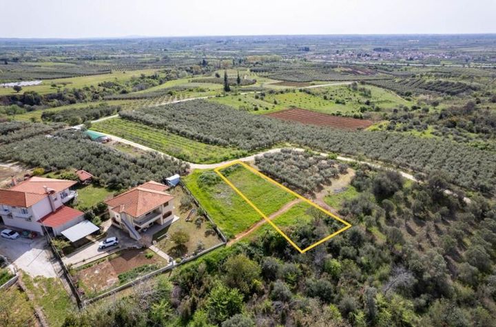 Teren construibil 565 mp în Perni (front 11,5 m) anunturi imobiliare Grecia
