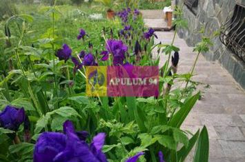 Vilă de vânzare în Poiana Câmpina anunturi imobiliare Prahova