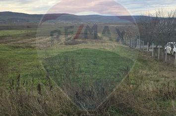 Teren intravilan si extravilan 8,282mp oras Negresti, judetul Vaslui anunturi imobiliare Vaslui