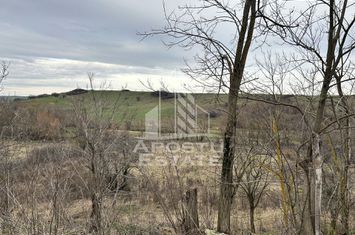 Teren 1942 mp, ideal casa de vacanta, alte activitati, Herneacova. anunturi imobiliare Timis