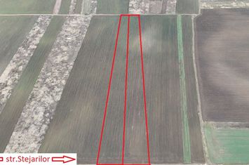 Foto 2 SABARENI, TEREN 10.000 MP! anunturi imobiliare Sabareni