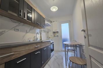 Garsonieră de inchiriat LUNCA CETATUII - Iasi anunturi imobiliare Iasi