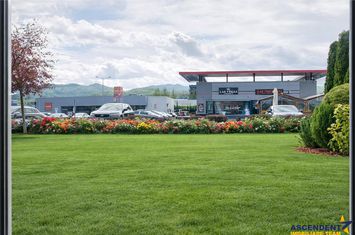 Birou de vanzare AVANTGARDEN - Brasov anunturi imobiliare Brasov
