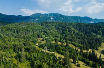 Teren Intravilan de vanzare POIANA BRASOV - Brasov anunturi imobiliare Brasov