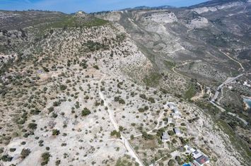 Teren 22000 mp în Moni Archaggelou, Thassos anunturi imobiliare Grecia