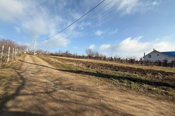 CHICEREA, TOMESTI, TEREN DE VANZARE, 3000 MP anunturi imobiliare Iasi