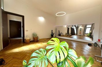 Apartament 2 camere 53mp,  tavan inalt, et1 zona Sora - Central anunturi imobiliare Cluj