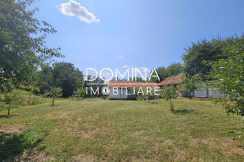 Teren de vanzare RUNCU - Gorj anunturi imobiliare Gorj