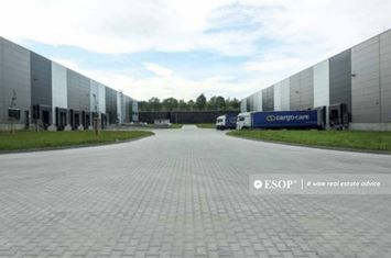 Spațiu industrial de inchiriat DRISTOR - Bucuresti anunturi imobiliare Bucuresti