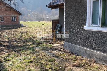 Teren de vanzare NEGULESTI - Neamt anunturi imobiliare Neamt